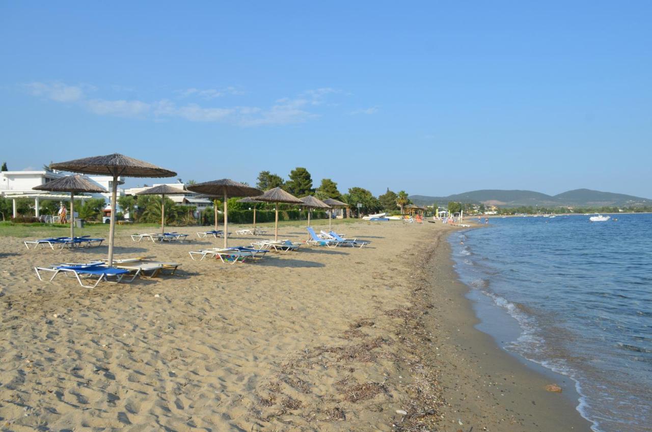 Villa Del Greco Kalyves Polygyrou Bagian luar foto