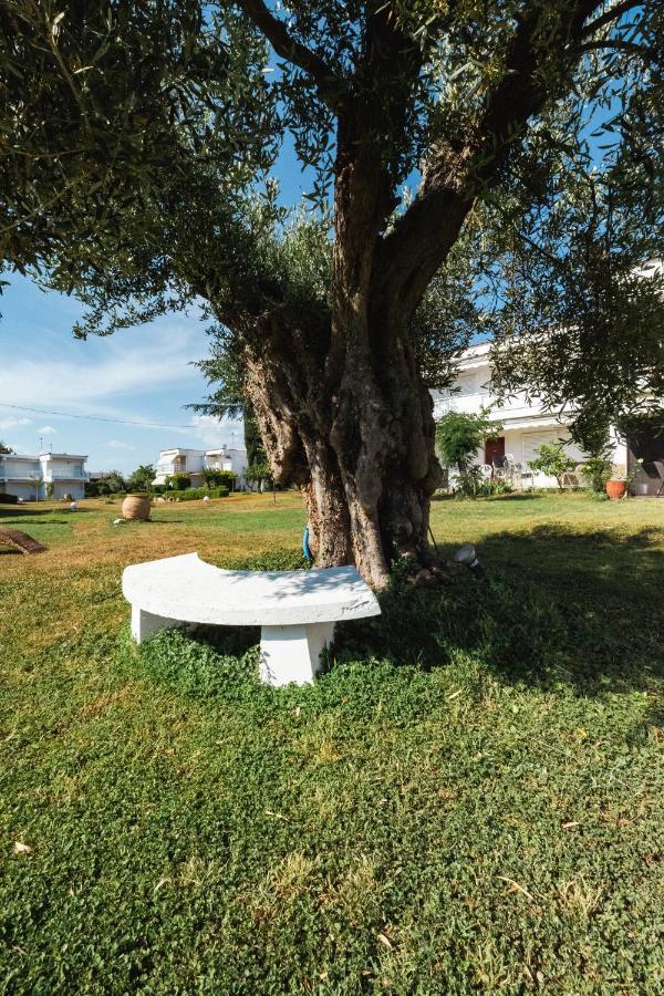 Villa Del Greco Kalyves Polygyrou Bagian luar foto